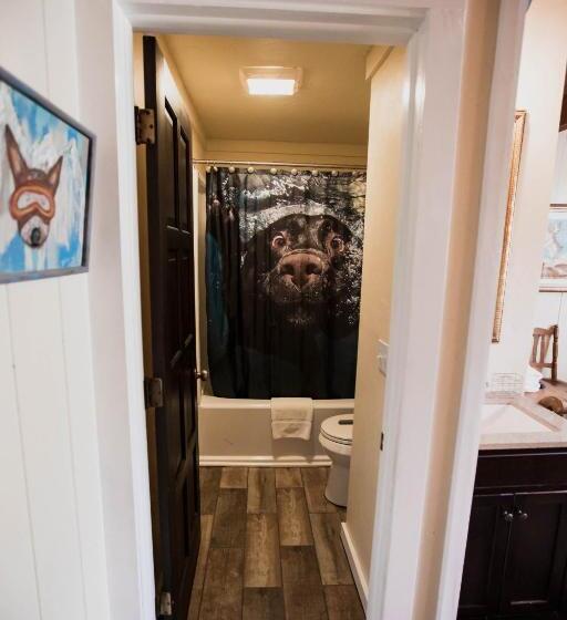 Отель The Viking Lodge Downtown Winter Park Colorado