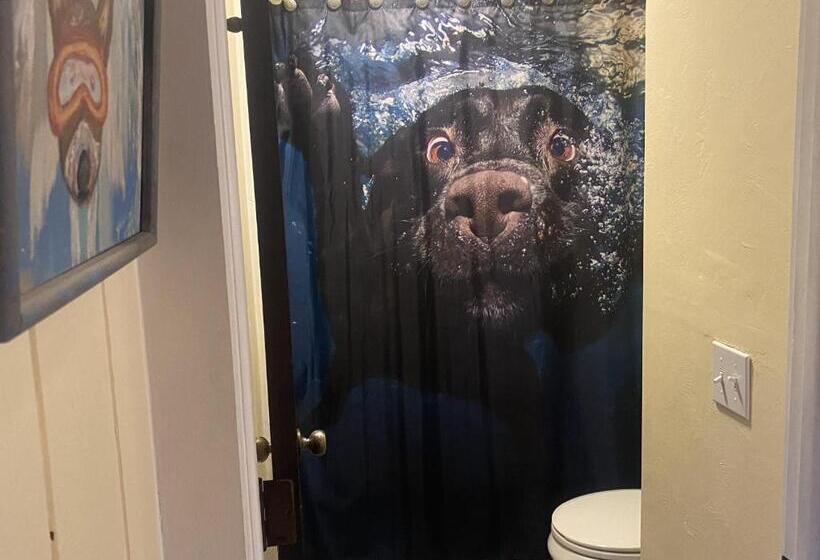 Отель The Viking Lodge Downtown Winter Park Colorado