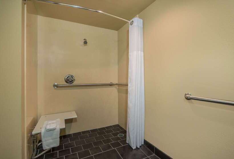 ホテル Wyndham Garden Texarkana