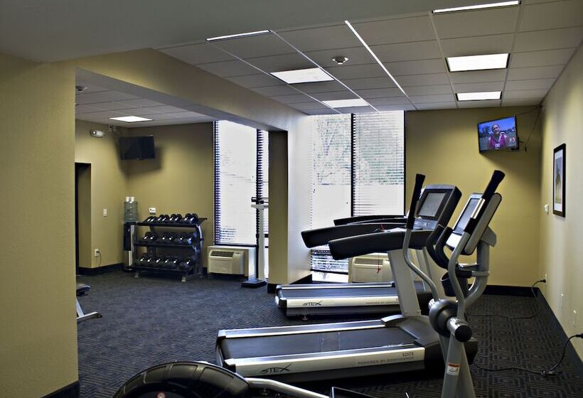 ホテル Wyndham Garden Texarkana