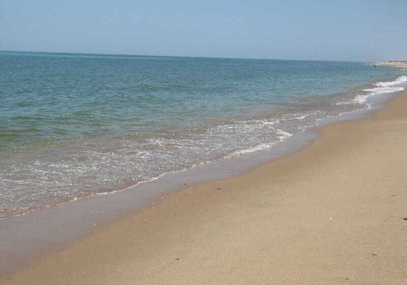 Life Apartments El Rompido