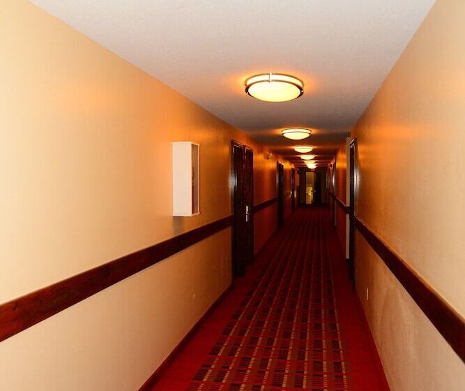 فندق على الطريق Budget Inn Express