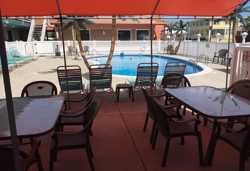 מוטל Dolphin Inn