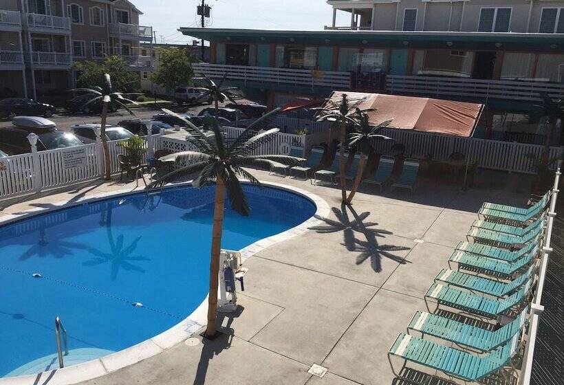 מוטל Dolphin Inn