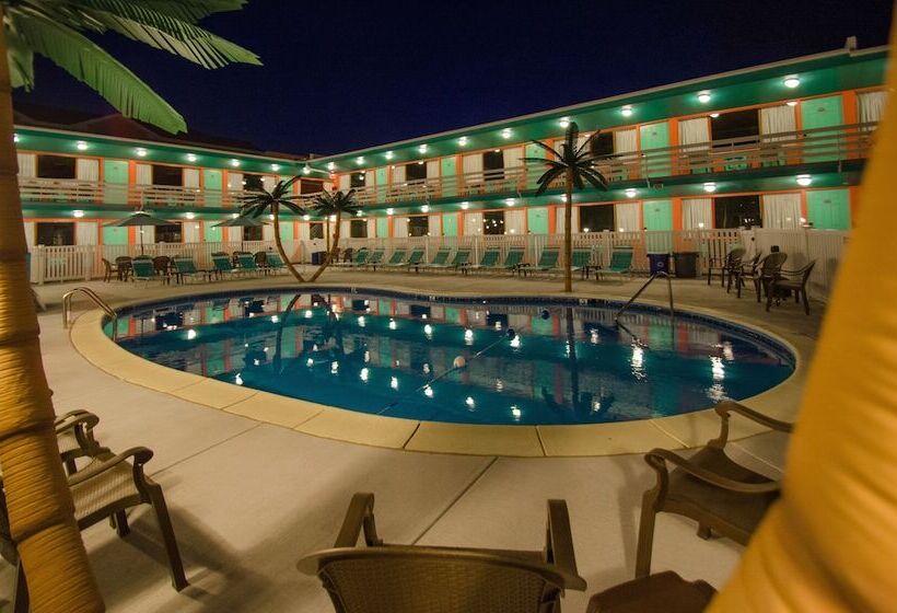 מוטל Dolphin Inn