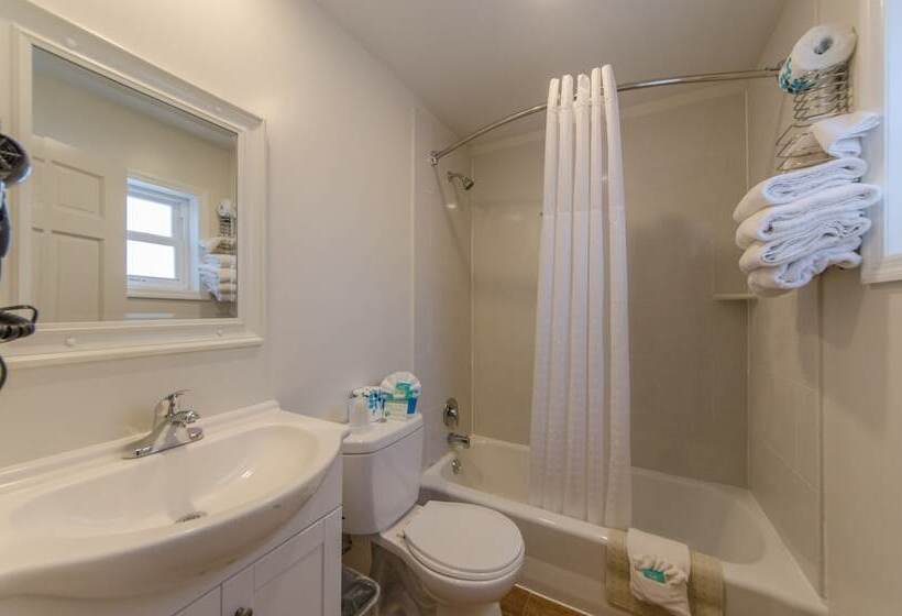 מוטל Dolphin Inn