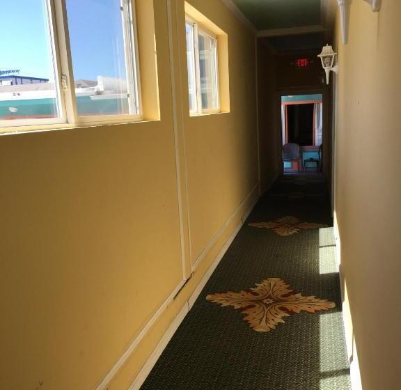 מוטל Dolphin Inn