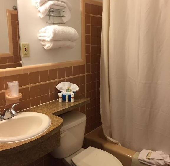 מוטל Dolphin Inn