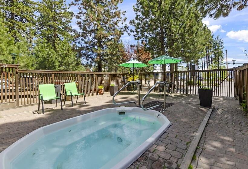 Мотель Firelite Lodge