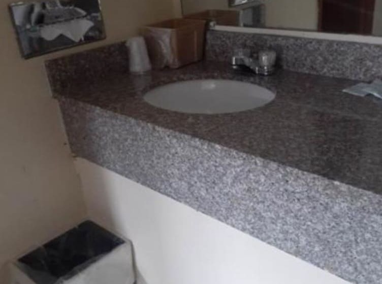 فندق على الطريق Holiday Lodge Virginia