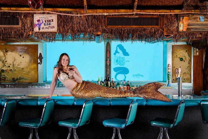 فندق على الطريق O Haire Inn