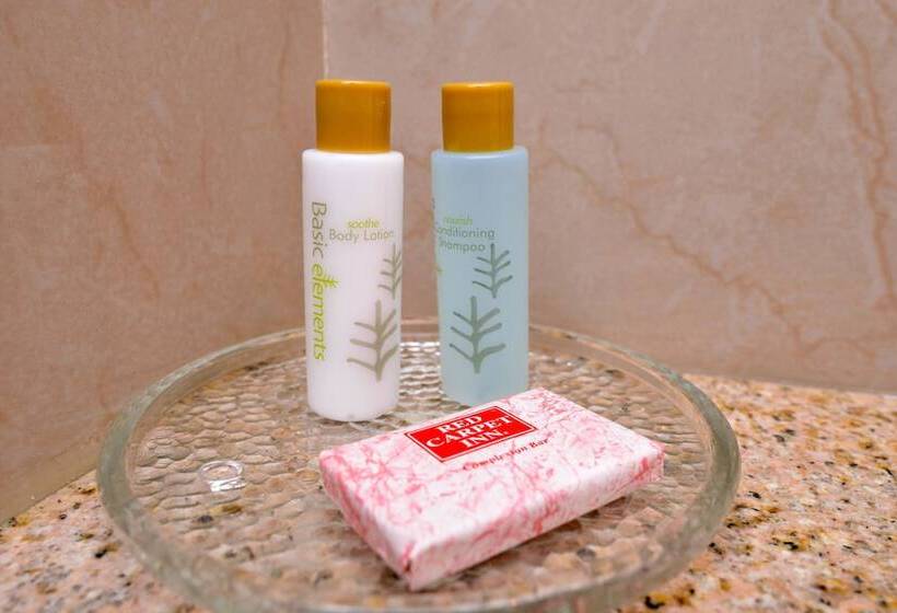 モーテル Red Carpet Inn Ronks