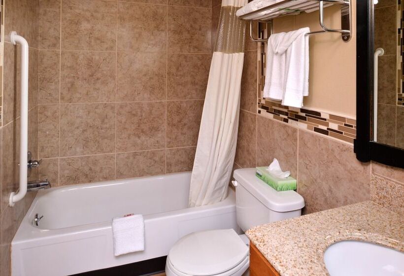 モーテル Red Carpet Inn Ronks