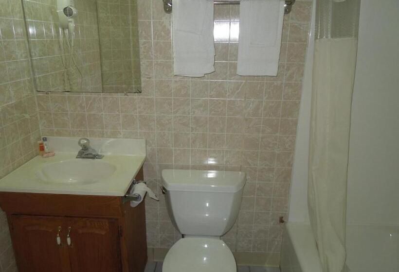 モーテル Red Carpet Inn Ronks