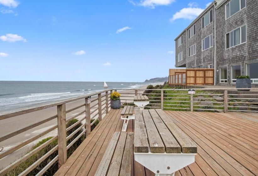 汽车旅馆  Seagull Beachfront Inn