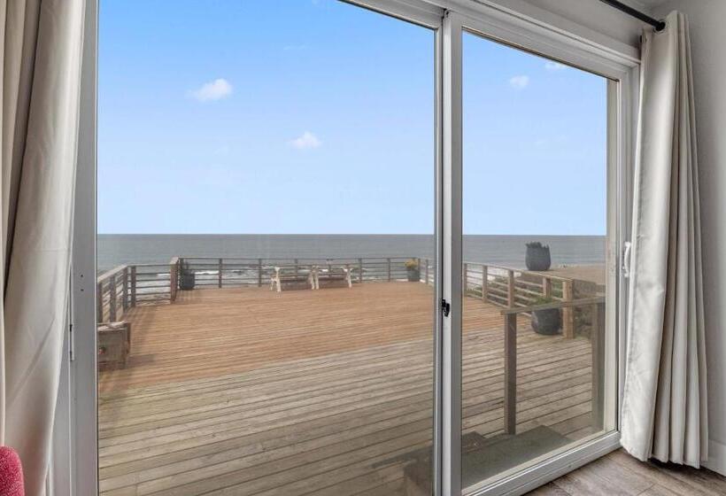 汽车旅馆  Seagull Beachfront Inn