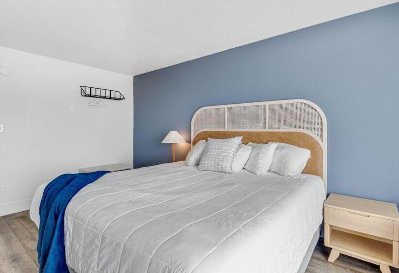 汽车旅馆  Seagull Beachfront Inn