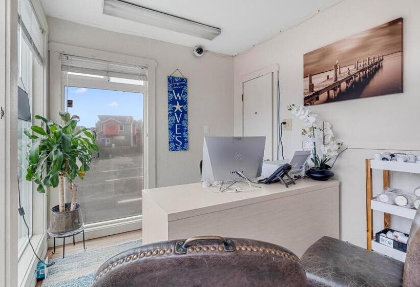 汽车旅馆  Seagull Beachfront Inn