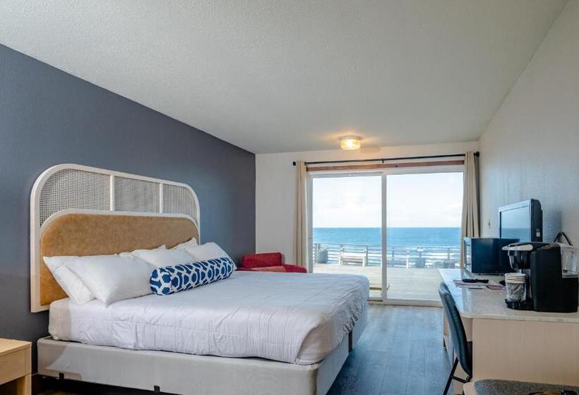 汽车旅馆  Seagull Beachfront Inn