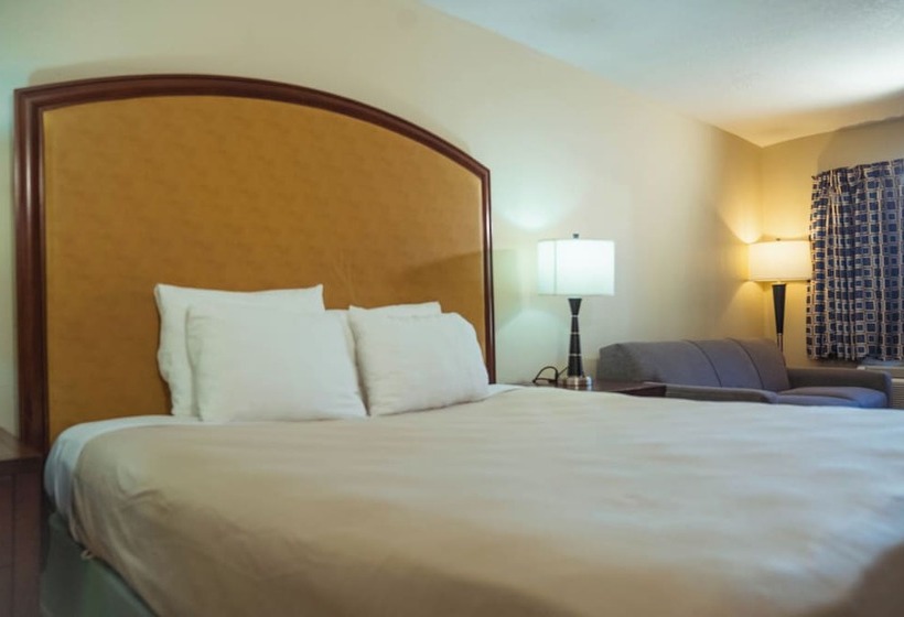 فندق على الطريق Serena Inn