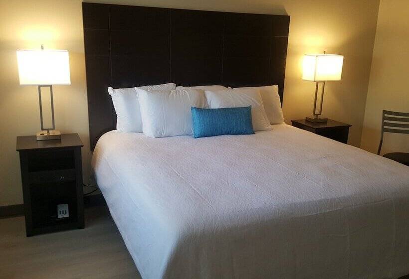 모텔 The Dunes Rehoboth Beach