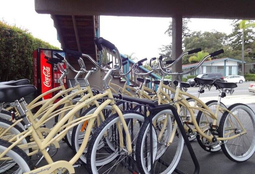 فندق على الطريق The Presidio