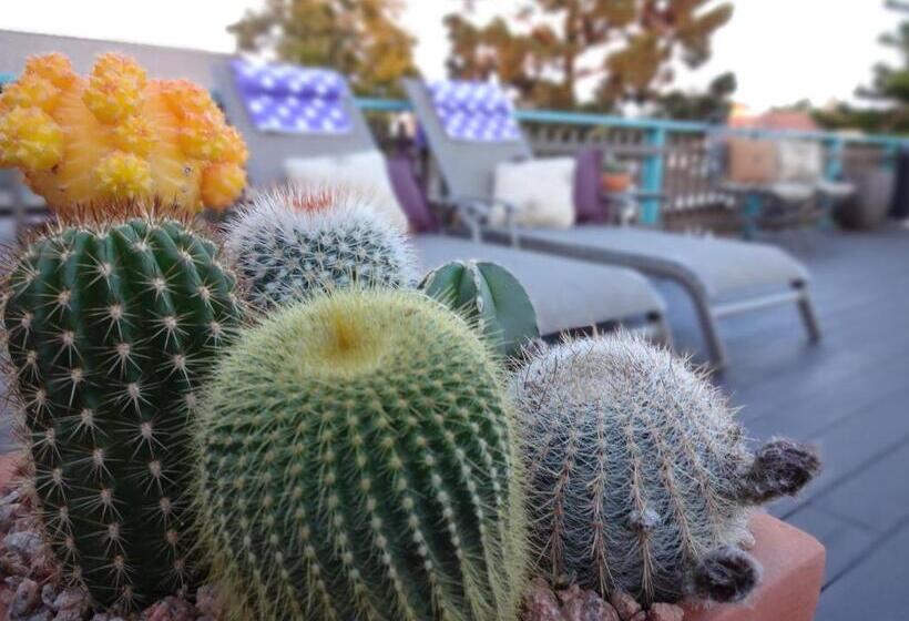 فندق على الطريق The Presidio