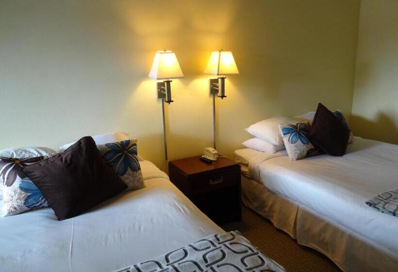 فندق على الطريق The Presidio