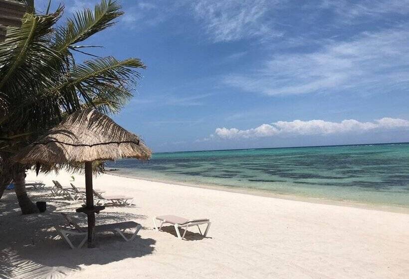 Pavoreal Beach Resort Tulum