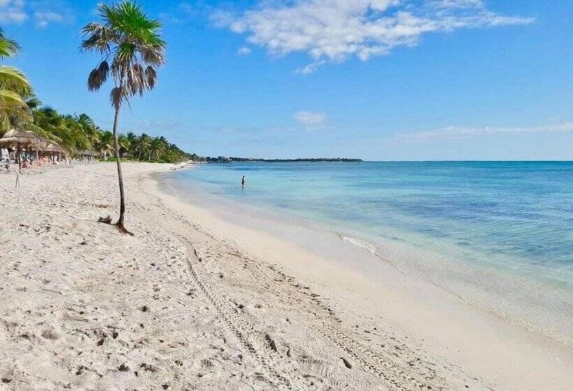 Pavoreal Beach Resort Tulum