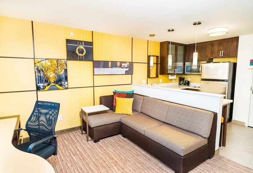 Residence Inn By Marriott Albany Washington Avenue