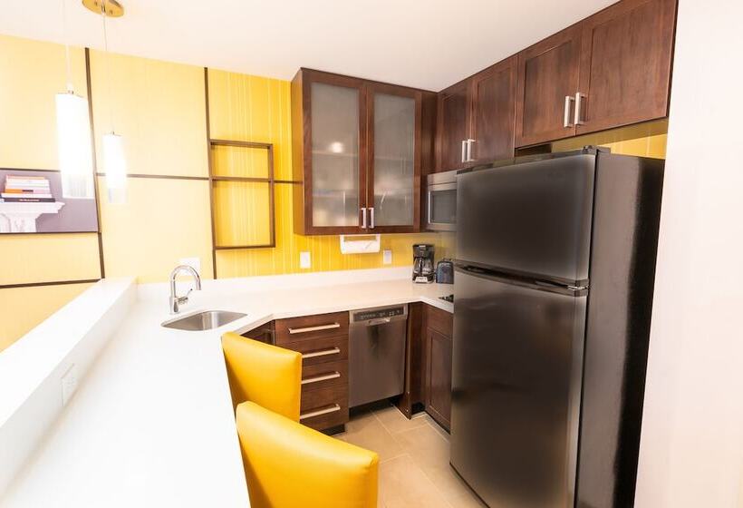 Residence Inn By Marriott Albany Washington Avenue