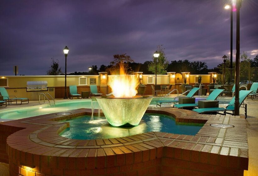 Residence Inn Atlanta Ne/duluth Sugarloaf