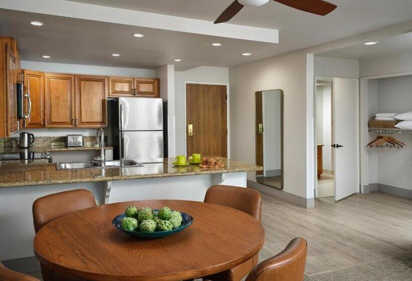 منتجع Hyatt Vacation Club At Desert Oasis