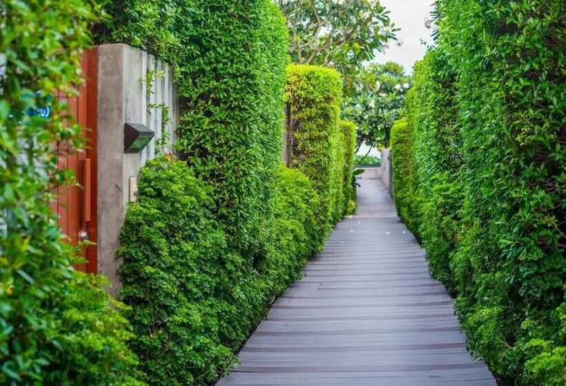 리조트 Synergy Samui