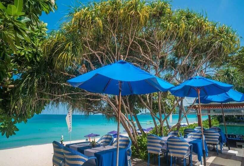 استراحتگاه Synergy Samui