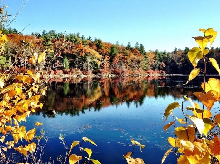 منتجع The Villages At Ocean Edge