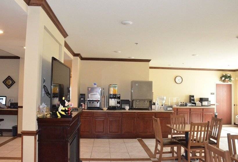 Spark By Hilton Minot