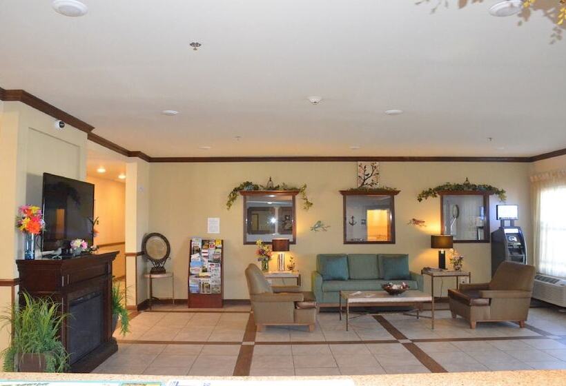 Spark By Hilton Minot