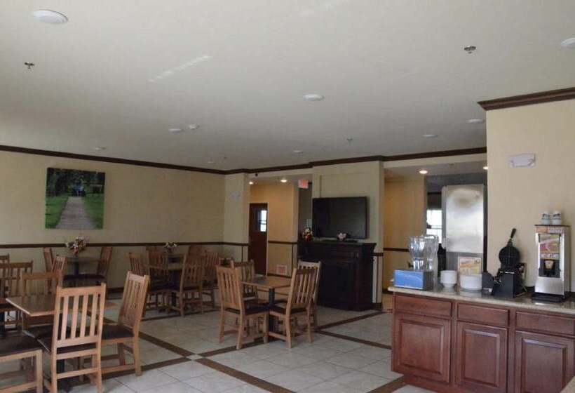 Spark By Hilton Minot