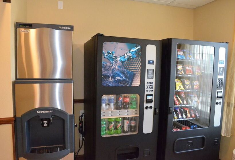 Spark By Hilton Minot