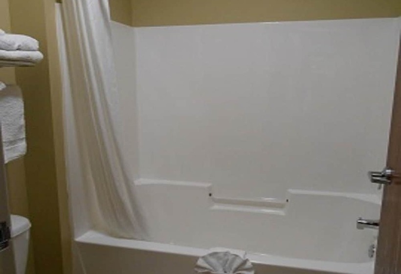 Spark By Hilton Minot