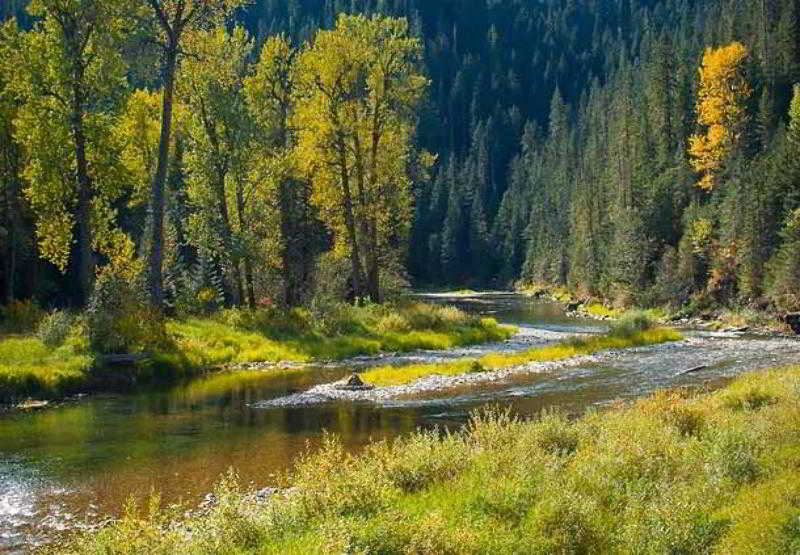 Springhill Suites Coeur D'alene