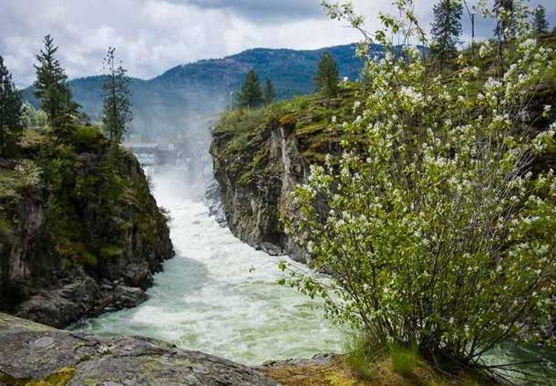 Springhill Suites Coeur D'alene