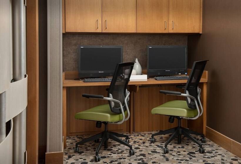 Springhill Suites By Marriott Jackson North/ridgeland