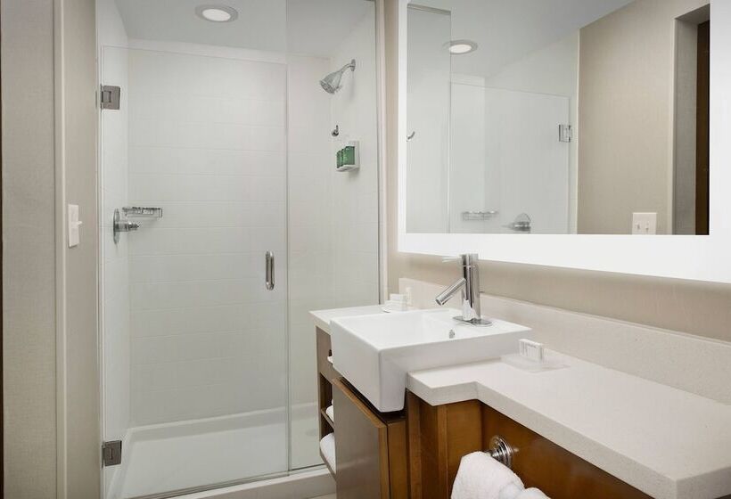 Springhill Suites By Marriott Jackson North/ridgeland