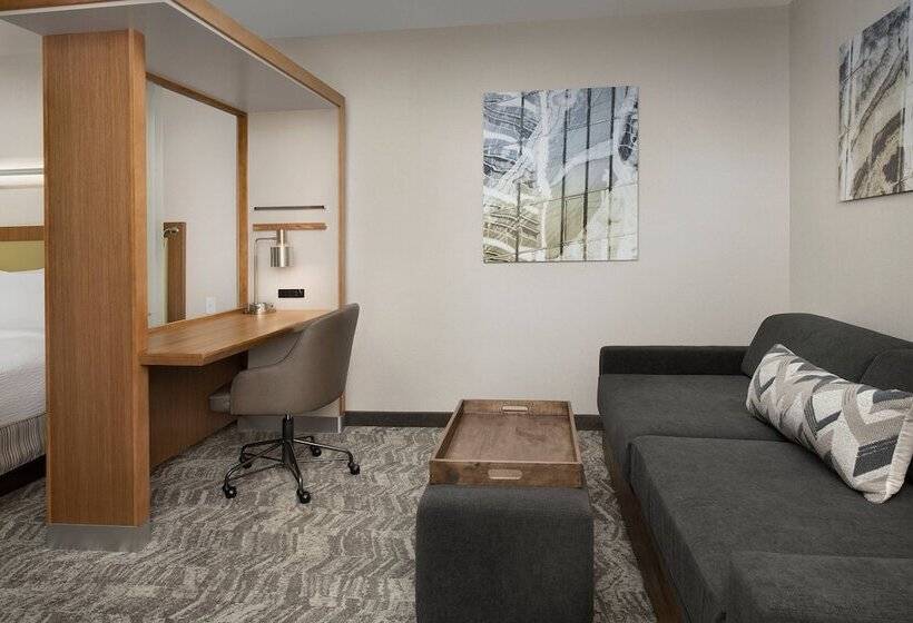 Springhill Suites By Marriott Jackson North/ridgeland