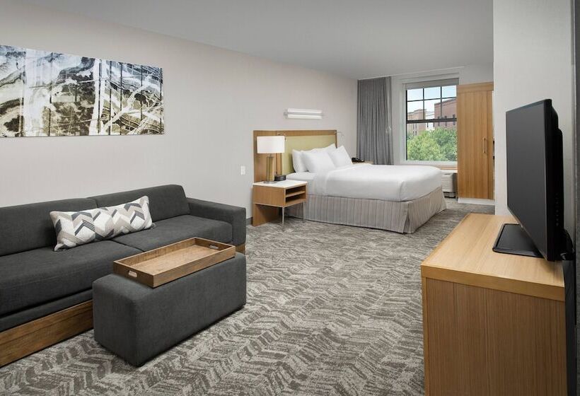 Springhill Suites By Marriott Jackson North/ridgeland