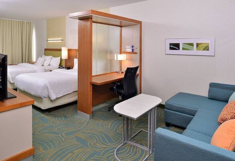 Springhill Suites By Marriott Voorhees Mt. Laurel/cherry Hill