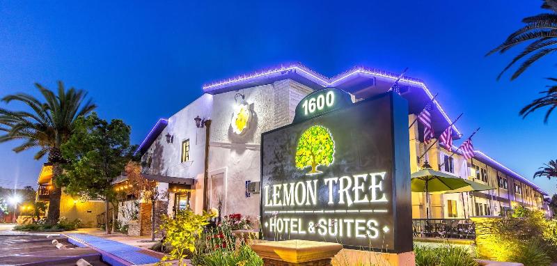 The Lemon Tree